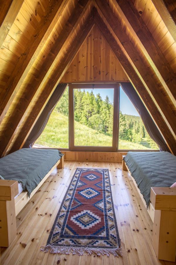 Chamois Apartments Durmitor Žabljak 外观 照片
